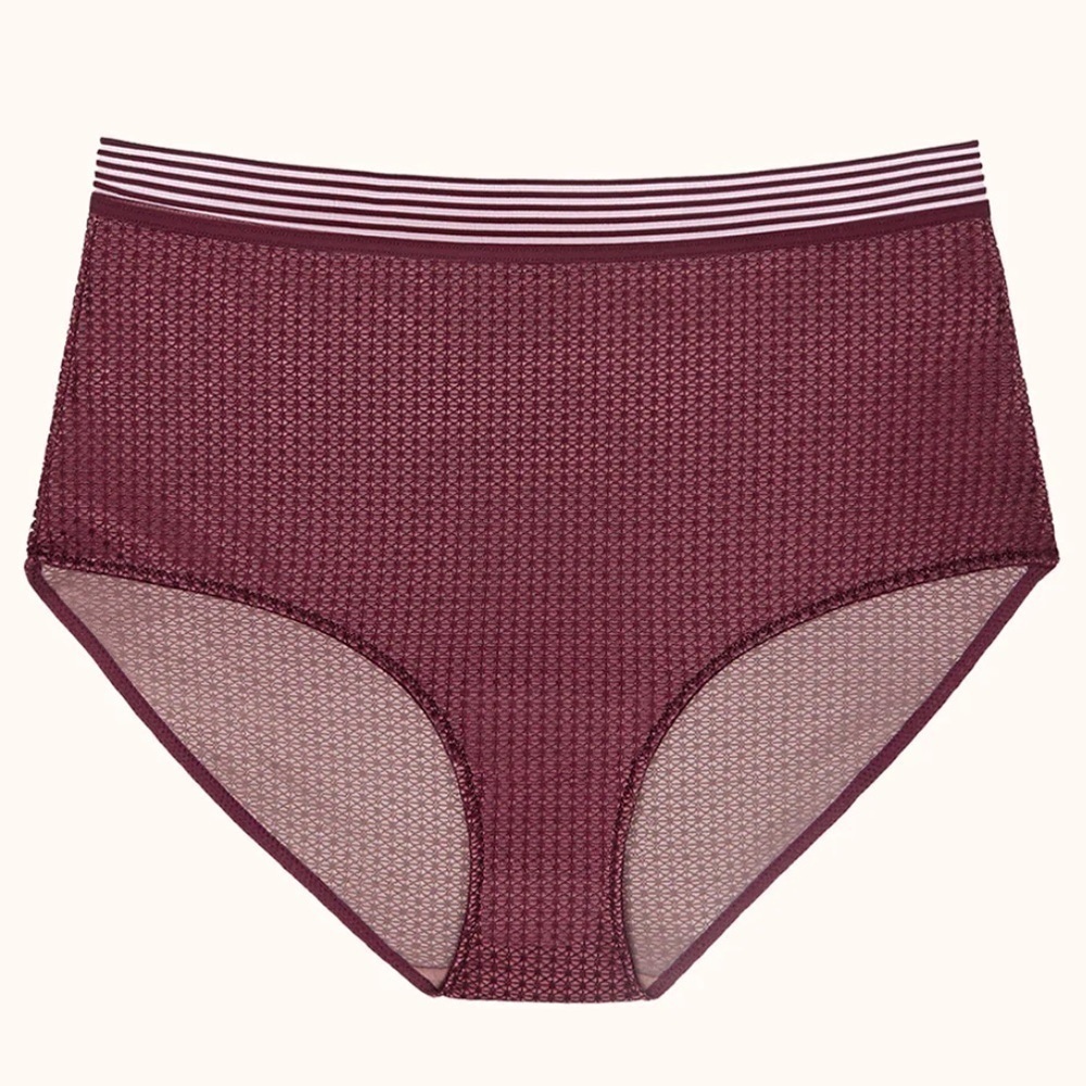 NEW! ThirdLove Modern Mesh High Brief in Pinot